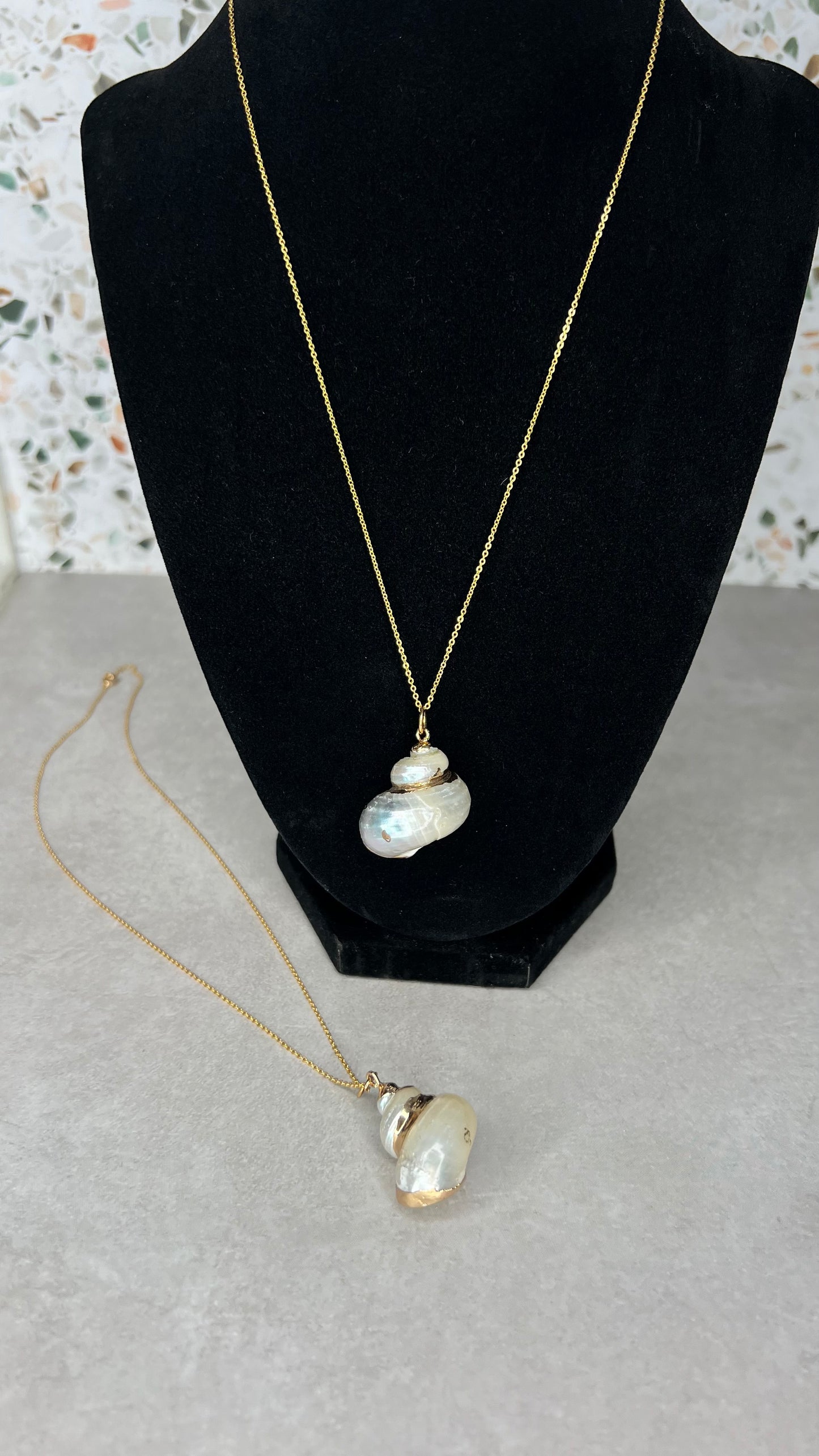 Conch shell necklace